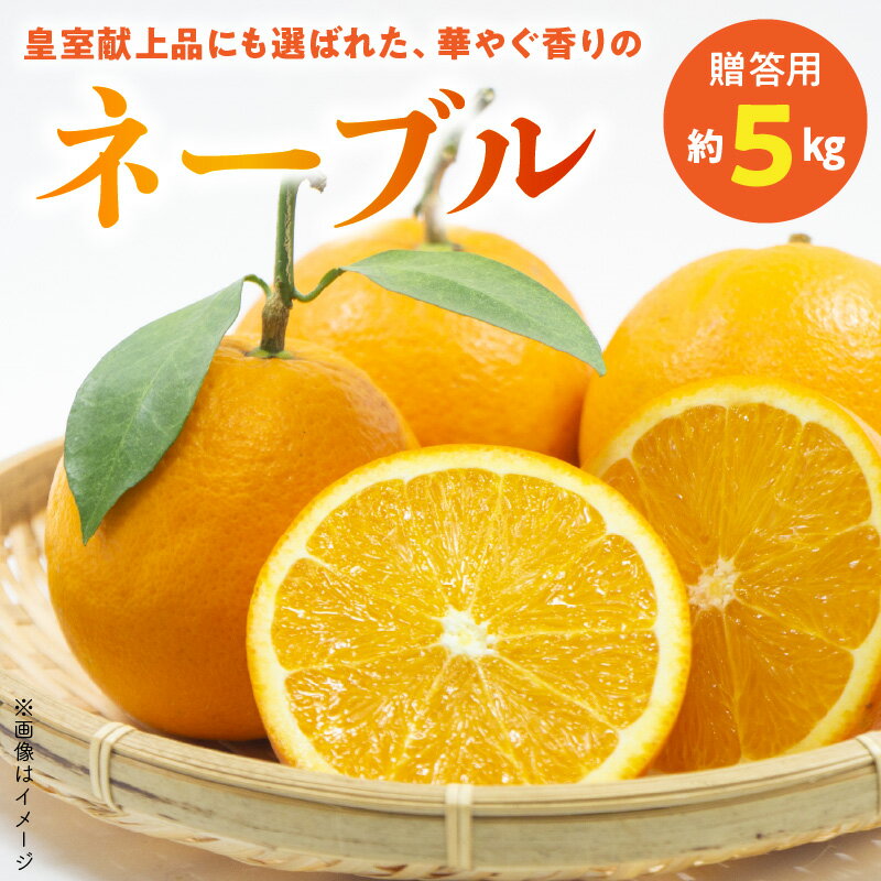 福島オレンジ農園　【贈答用】 おいしい樹成甘熟!!ネーブル　約5kg【熊本県宇土市】