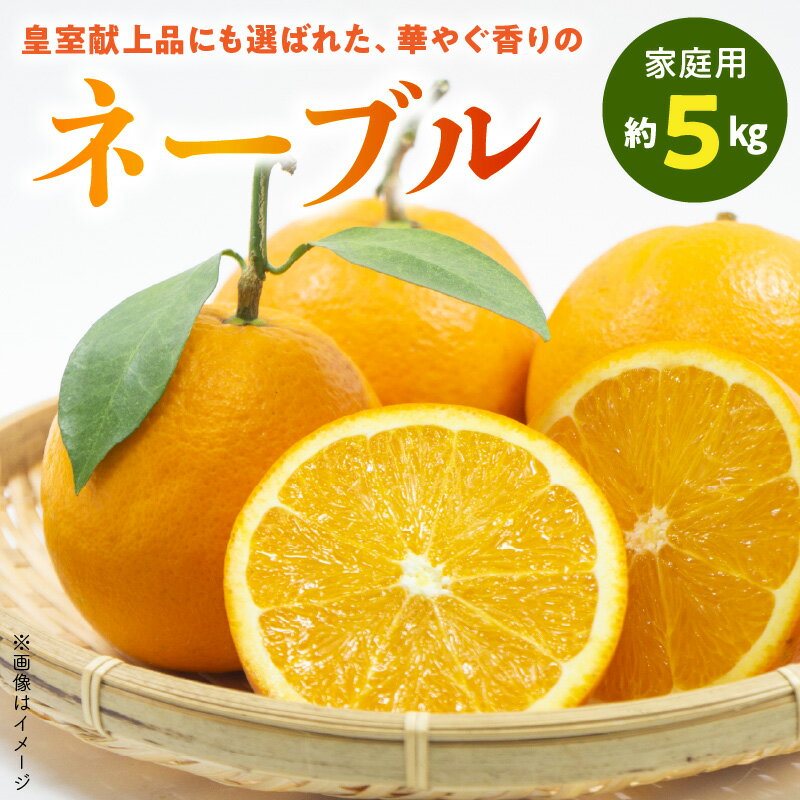 ネーブル オレンジ 約 5kg 家庭用 甘みと酸味のバランスが良い 旬のフルーツ 美味しい 柑橘類 フルーツ 果物 デザート 特産品 福島オレンジ農園 お取り寄せ お取り寄せフルーツ 熊本県 宇土市 送料無料 【熊本県宇土市】