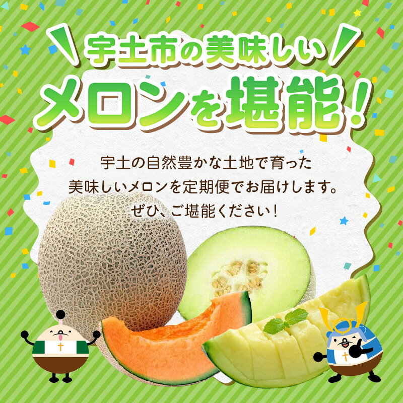 【ふるさと納税】【メロン便】 年に3回お届け メロン 定期便 オレンジハート 肥後グリーンメロン アールスメロン 2玉 フルーツ 甘い 高級 果物 デザート ご褒美 旬 お取り寄せ お取り寄せフルーツ 送料無料 【熊本県宇土市】 サムネイル2
