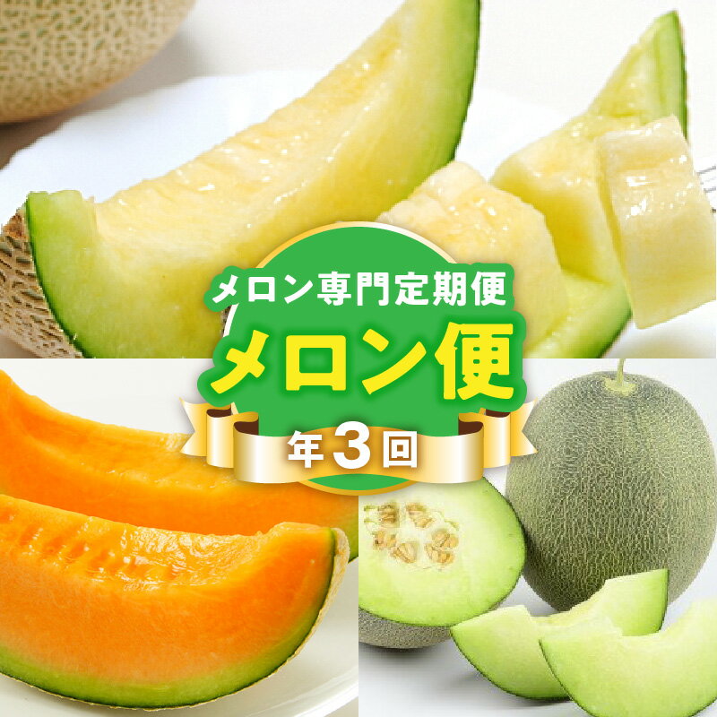 【メロン便】 年に3回お届け メロン 定期便 オレンジハート 肥後グリーンメロン アールスメロン 2玉 フルーツ 甘い 高級 果物 デザート ご褒美 旬 お取り寄せ お取り寄せフルーツ 送料無料 【熊本県宇土市】