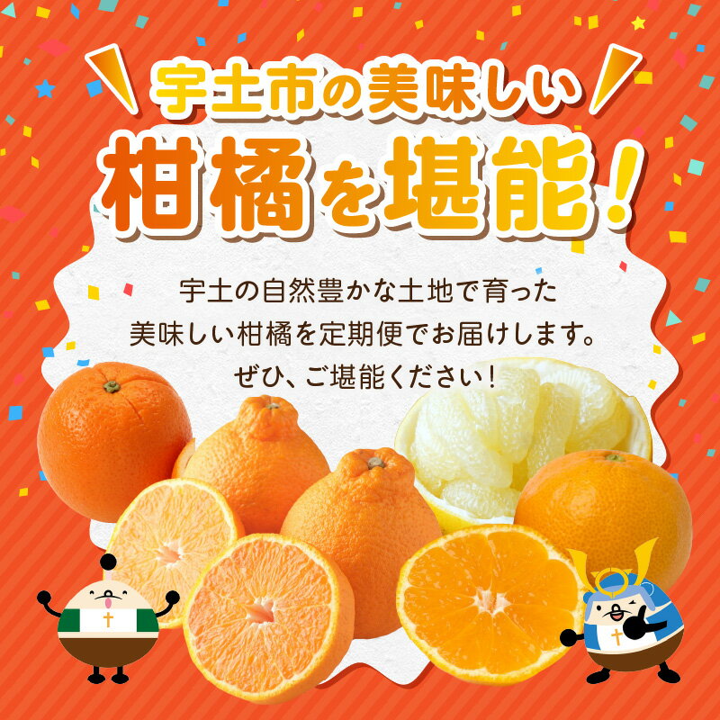 【ふるさと納税】【オレンジ便】 年に5回お届け 柑橘 定期便 網田ネーブル パール柑 極早生みかん 約5kg 不知火 約3kg デコポン 約2kg 完熟 みかん フルーツ ジューシー 果物 デザート 旬 お取り寄せ お取り寄せフルーツ 送料無料 【熊本県宇土市】 サムネイル2