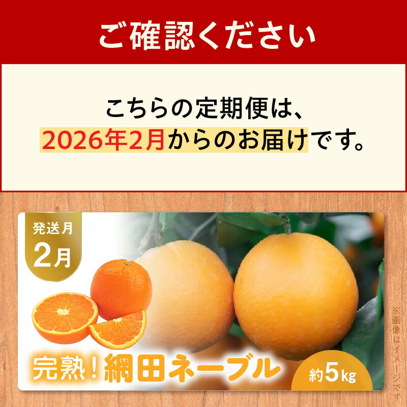 【ふるさと納税】【オレンジ便】 年に5回お届け 柑橘 定期便 網田ネーブル パール柑 極早生みかん 約5kg 不知火 約3kg デコポン 約2kg 完熟 みかん フルーツ ジューシー 果物 デザート 旬 お取り寄せ お取り寄せフルーツ 送料無料 【熊本県宇土市】 サムネイル3