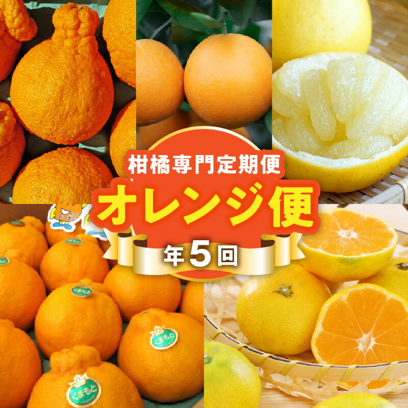 【オレンジ便】 年に5回お届け 柑橘 定期便 網田ネーブル パール柑 極早生みかん 約5kg 不知火 約3kg デコポン 約2kg 完熟 みかん フルーツ ジューシー 果物 デザート 旬 お取り寄せ お取り寄せフルーツ 送料無料 【熊本県宇土市】