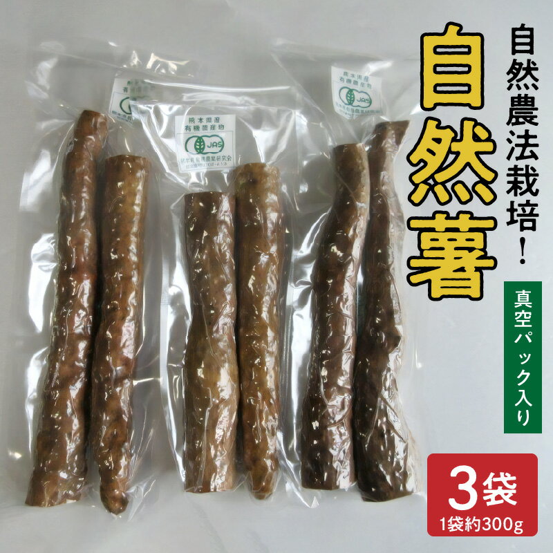 【ふるさと納税】自然薯 やまいも 山菜の王様 約 300g 3袋 真空パック 国産 とろろ 安全 安心 おいしい 高い栄養価 那須自然農園 自然農法栽培 有機JAS 認定事業者 お取り寄せ ギフト 贈り物 熊本県 宇土市 送料無料【熊本県宇土市】 - 画像2