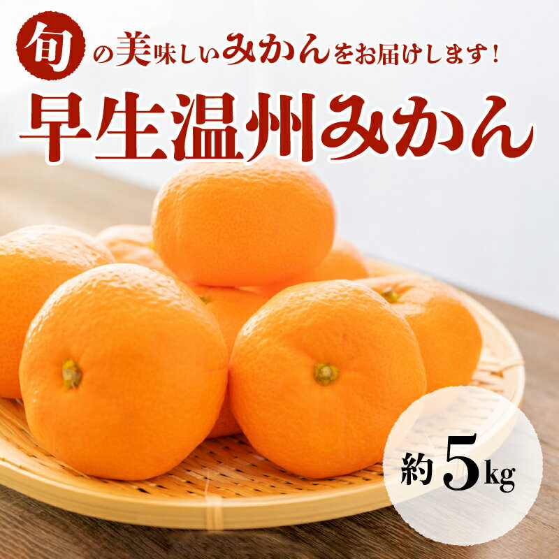 【ふるさと納税】進栄　早生温州みかん　約5kg【熊本県宇土市】 サムネイル2