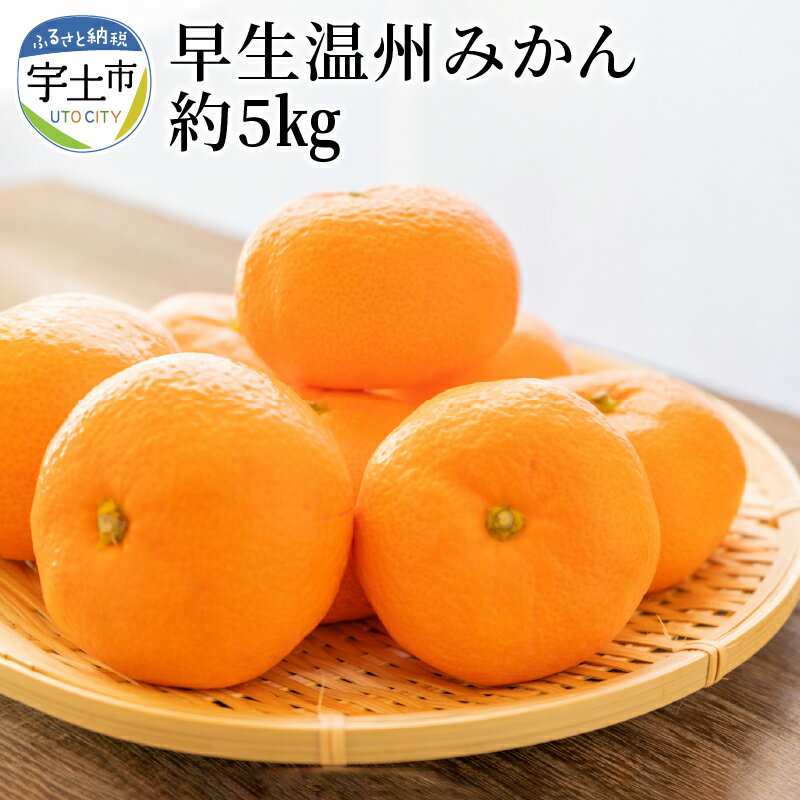 進栄　早生温州みかん　約5kg【熊本県宇土市】