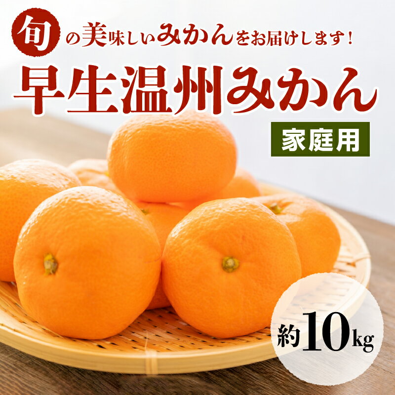 【ふるさと納税】進栄　【家庭用】早生温州みかん　約10kg【熊本県宇土市】 サムネイル2