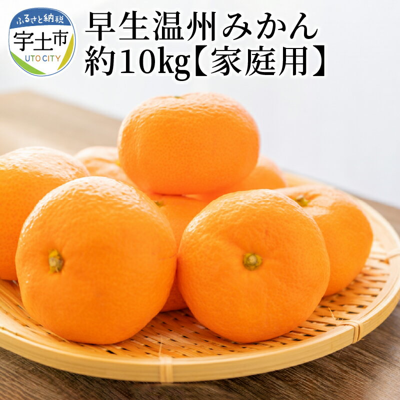 進栄　【家庭用】早生温州みかん　約10kg【熊本県宇土市】