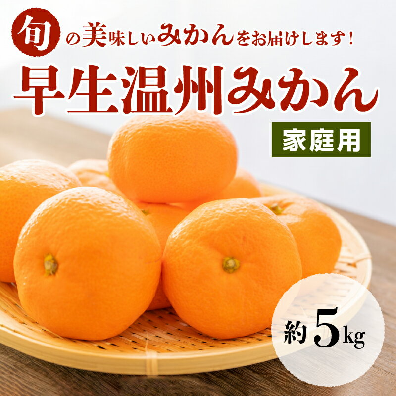 【ふるさと納税】進栄 家庭用 早生温州みかん 約5kg みかん 先行予約 国産 柑橘 果物 果実 ビタミン 旬 フルーツ ジューシー 美味しい 食品 常温 九州 お取り寄せ お取り寄せフルーツ 送料無料【熊本県宇土市】発送は11月から サムネイル2