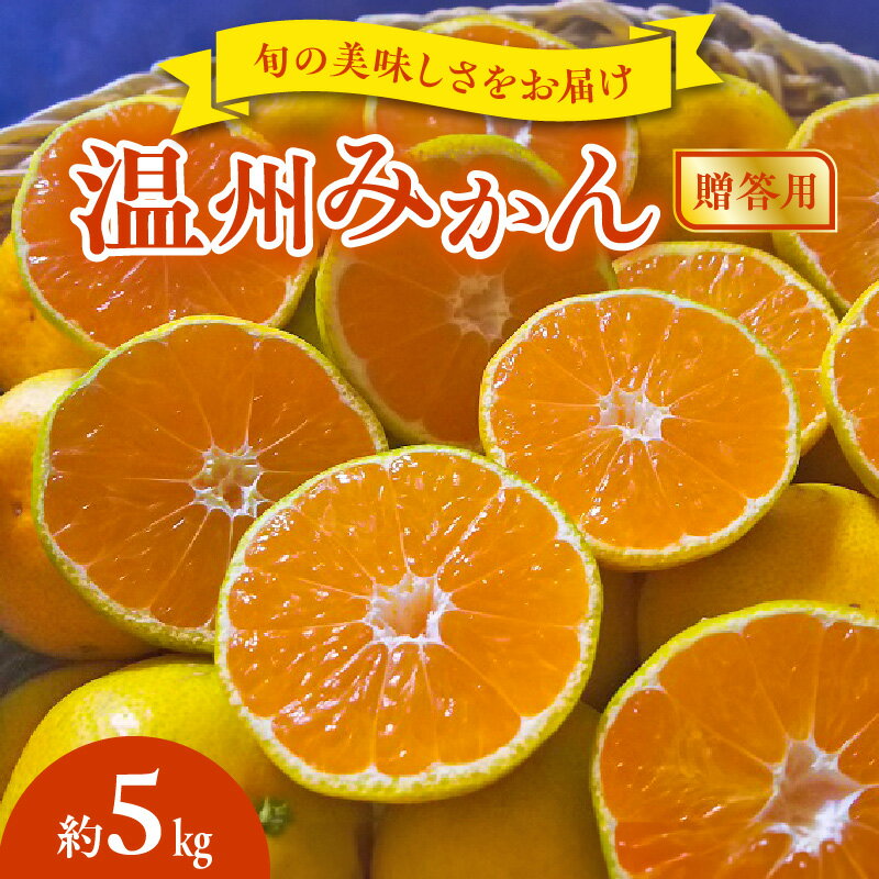 贈答用 温州みかん 約 5kg 1箱 進栄 柑橘 果実 常温 果物 ビタミンC 豊富 みかん 旬 国産 フルーツ デザート 熊本 九州 食品 お取り寄せ お取り寄せフルーツ 送料無料【熊本県宇土市】