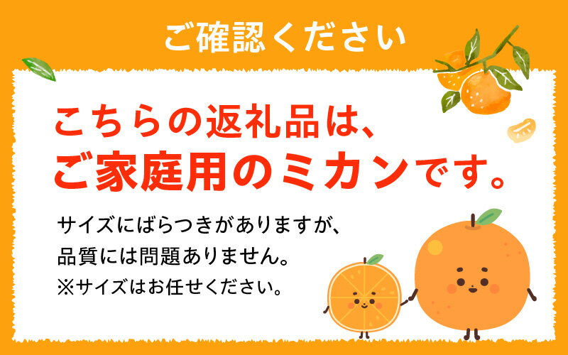 【ふるさと納税】家庭用 温州みかん 約 5kg 1箱 進栄 柑橘 果実 常温 果物 ビタミンC 豊富 みかん 旬 国産 フルーツ デザート 熊本 九州 食品 お取り寄せ お取り寄せフルーツ 送料無料【熊本県宇土市】 サムネイル2