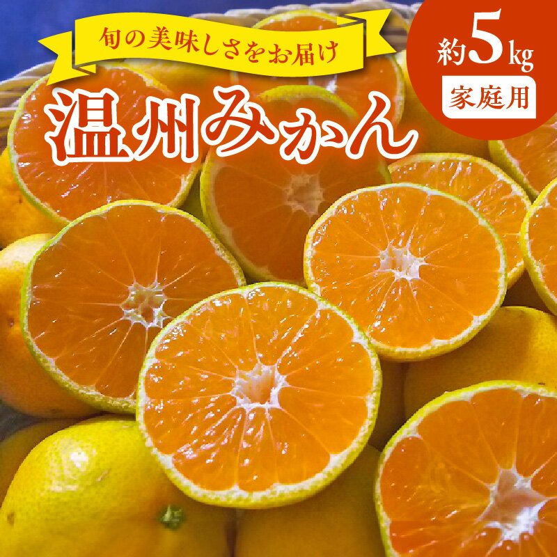 家庭用 温州みかん 約 5kg 1箱 進栄 柑橘 果実 常温 果物 ビタミンC 豊富 みかん 旬 国産 フルーツ デザート 熊本 九州 食品 お取り寄せ お取り寄せフルーツ 送料無料【熊本県宇土市】