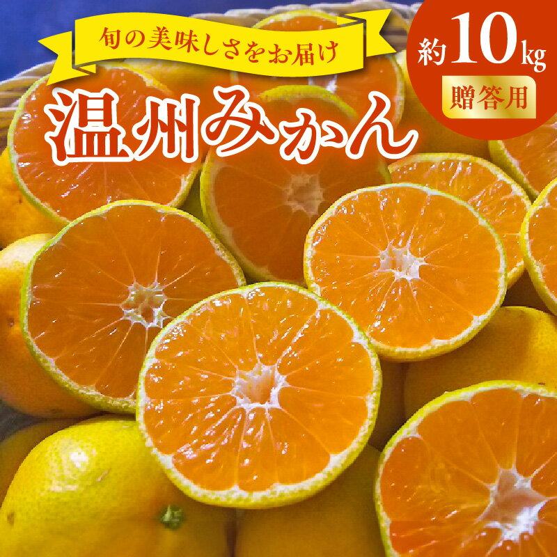 贈答用 温州みかん 約 10kg 1箱 進栄 柑橘 果実 常温 果物 ビタミンC 豊富 みかん 旬 国産 フルーツ デザート 熊本 九州 食品 お取り寄せ お取り寄せフルーツ 送料無料【熊本県宇土市】