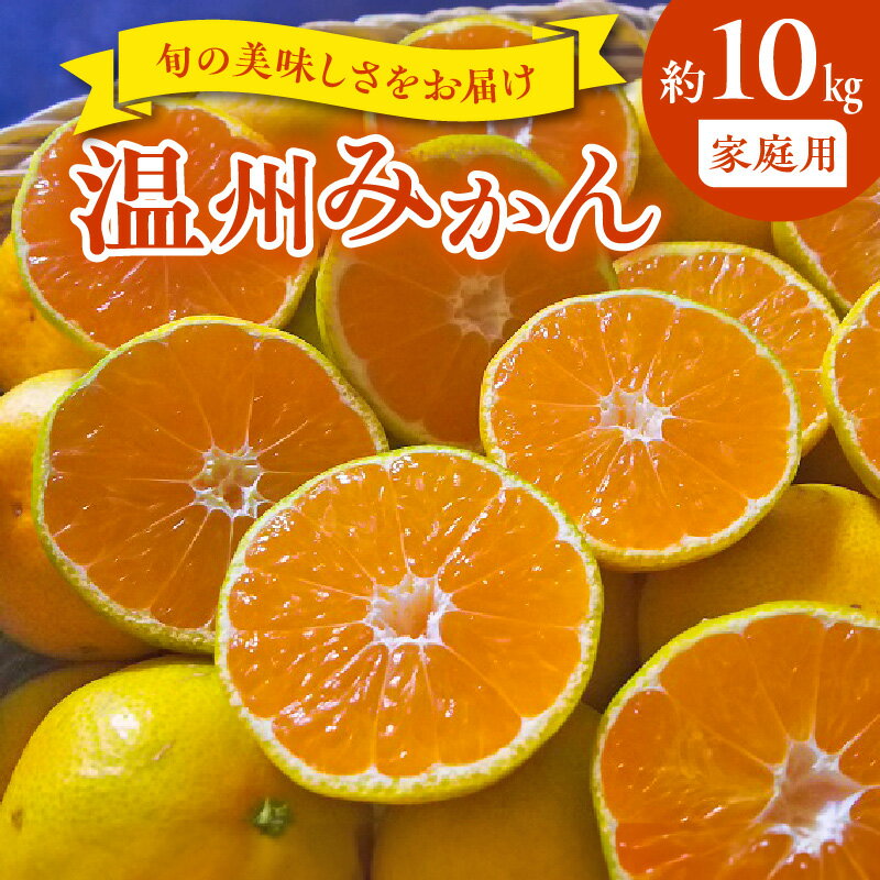 家庭用 温州みかん 約 10kg 1箱 進栄 柑橘 果実 常温 果物 ビタミンC 豊富 みかん 旬 国産 フルーツ デザート 熊本 九州 食品 お取り寄せ お取り寄せフルーツ 送料無料【熊本県宇土市】