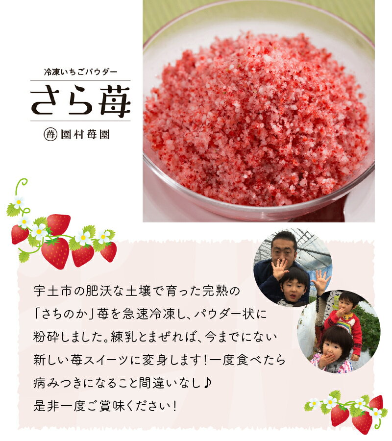 【ふるさと納税】園村苺園　熊本県宇土産 完熟冷凍いちご「さら苺」12カップ　練乳付き【熊本県宇土市】 サムネイル3