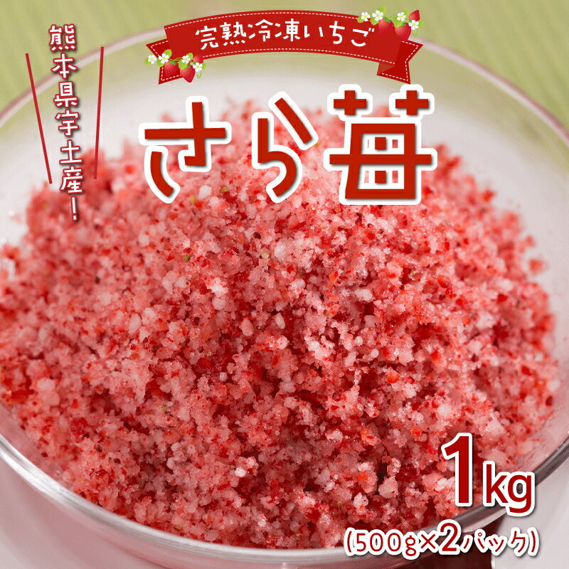 【ふるさと納税】完熟 冷凍 いちご さら苺 1kg 500g × 2パック 国産 さちのか 急速冷凍 フローズン パウダー状 スイーツ ストロベリー お取り寄せ おすそ分け 手土産 お土産 ギフト 熨斗対応可 果物 フルーツ 熊本県宇土産 園村苺園 送料無料 【熊本県宇土市 サムネイル2