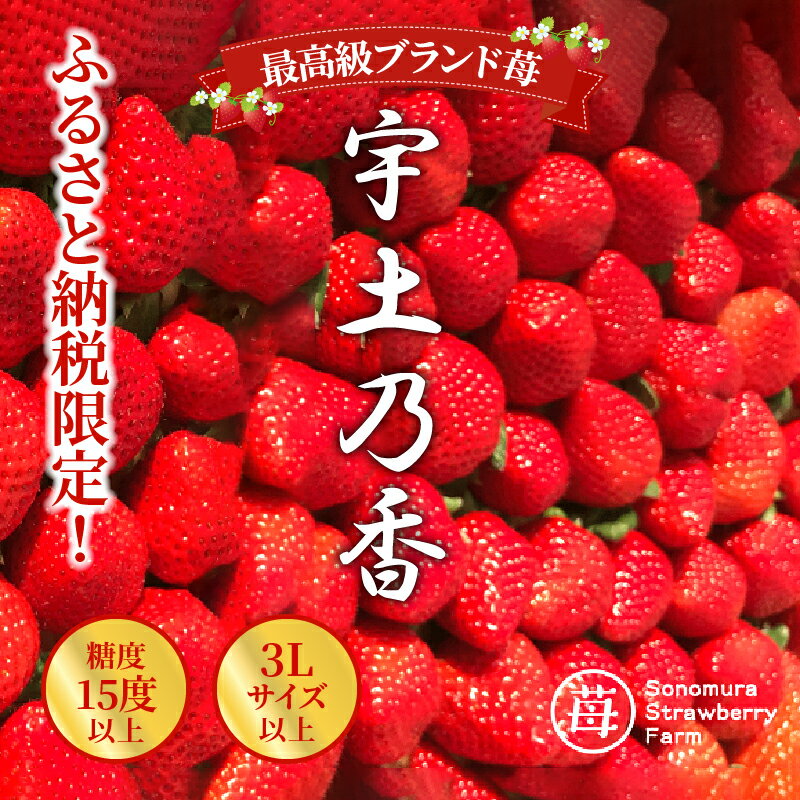 【ふるさと納税】最高級苺 さちのか 約 500g 糖度15度以上 3Lサイズ以上 宇土乃香 ブランド 完熟 いちご ビタミンC 国産 果物 旬 フルーツ デザート 緩衝ネット入り ギフト用 贈答用 食品 九州 お取り寄せ お取り寄せフルーツ 園村苺園 送料無料 【熊本県宇土市】 サムネイル2