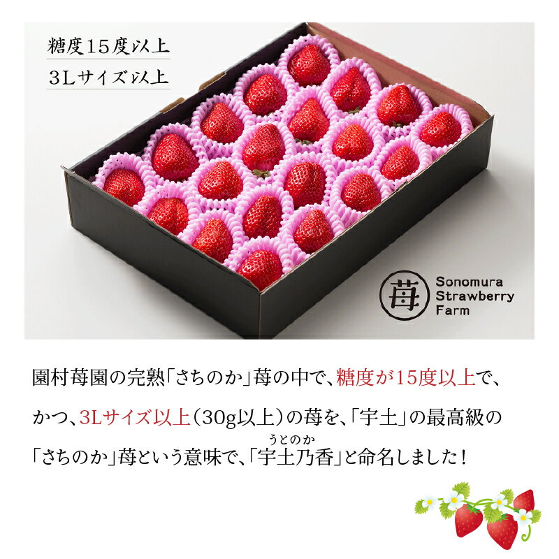 【ふるさと納税】最高級苺 さちのか 約 500g 糖度15度以上 3Lサイズ以上 宇土乃香 ブランド 完熟 いちご ビタミンC 国産 果物 旬 フルーツ デザート 緩衝ネット入り ギフト用 贈答用 食品 九州 お取り寄せ お取り寄せフルーツ 園村苺園 送料無料 【熊本県宇土市】 サムネイル3