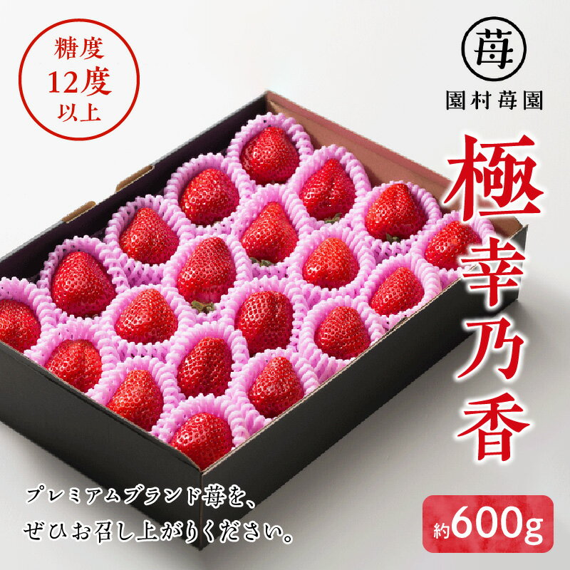 【ふるさと納税】苺 糖度12度以上保証 ブランド苺 極幸乃香 約 600g 12〜25粒 熊本県宇土産 スイーツ ストロベリー さちのか 果物 フルーツ ビタミンC 冷蔵 食品 誕生日 人気 お取り寄せ おすそ分け 手土産 お土産 熨斗対応可 ギフト 贈り物 送料無料 【熊本県宇土市】 サムネイル2