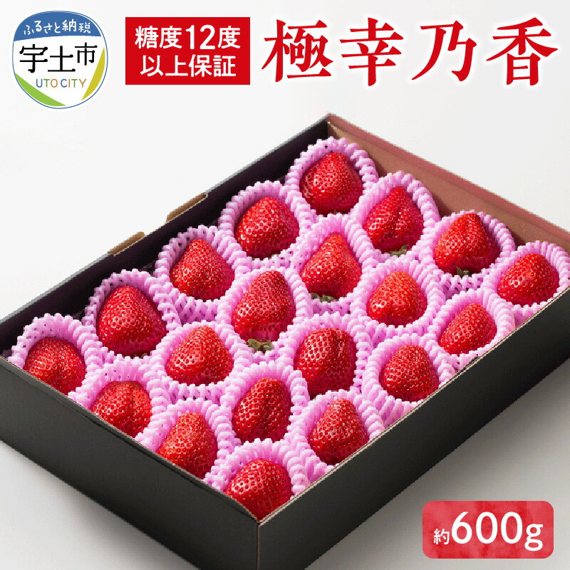 苺 糖度12度以上保証 ブランド苺 極幸乃香 約 600g 12〜25粒 熊本県宇土産 スイーツ ストロベリー さちのか 果物 フルーツ ビタミンC 冷蔵 食品 誕生日 人気 お取り寄せ おすそ分け 手土産 お土産 熨斗対応可 ギフト 贈り物 送料無料 【熊本県宇土市】