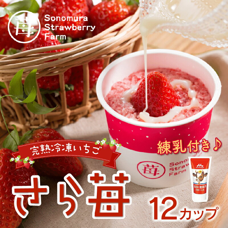 【ふるさと納税】園村苺園　熊本県宇土産 完熟冷凍いちご「さら苺」12カップ　練乳付き【熊本県宇土市】 サムネイル2