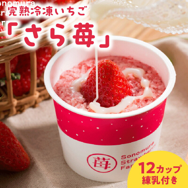 園村苺園　熊本県宇土産 完熟冷凍いちご「さら苺」12カップ　練乳付き【熊本県宇土市】
