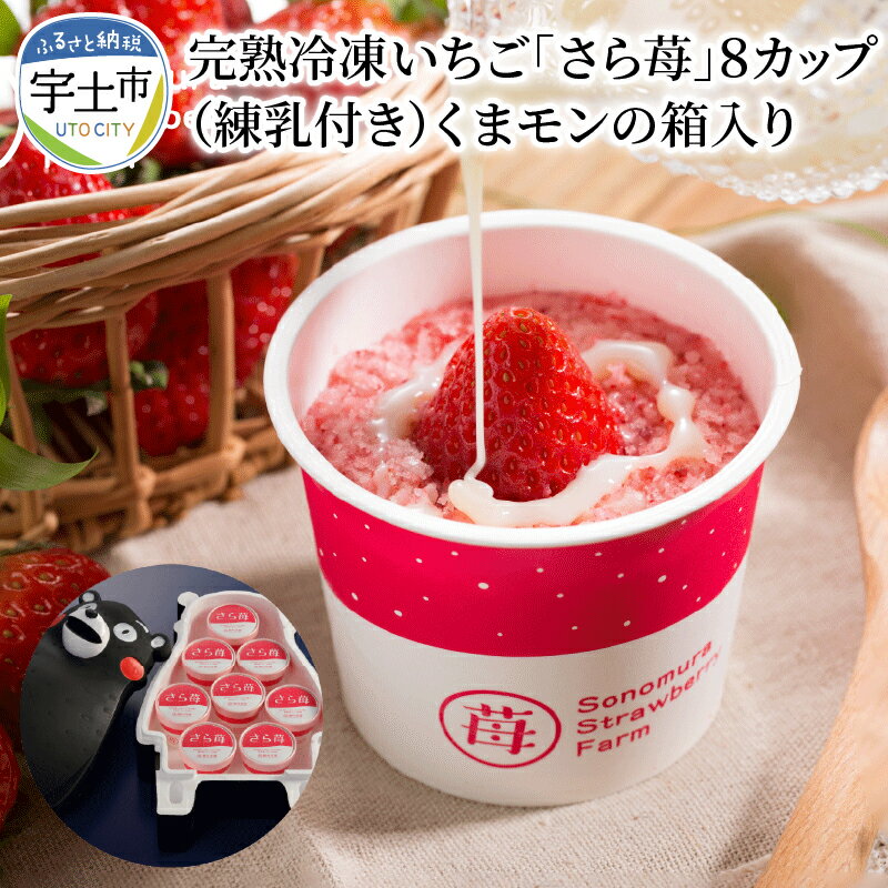 園村苺園 完熟冷凍いちご！「さら苺」8カップ練乳付き くまモンの箱入り【熊本県宇土市】