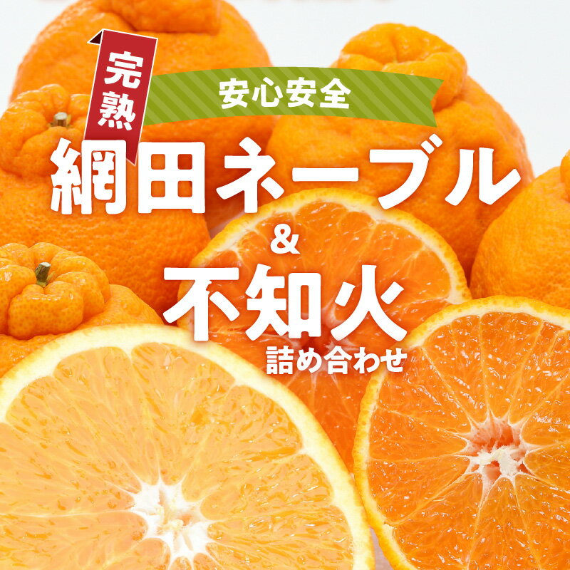【ふるさと納税】網田ネーブル 不知火 詰め合わせ 約 3kg 半分ずつ 8玉 〜 10玉 ネーブル オレンジ フルーツ 果物 常温 安心安全 ジューシー 酸味 甘み 国産 ビタミンC 果汁 食べ比べ お取り寄せ お取り寄せスイーツ 送料無料【熊本県宇土市】 サムネイル2
