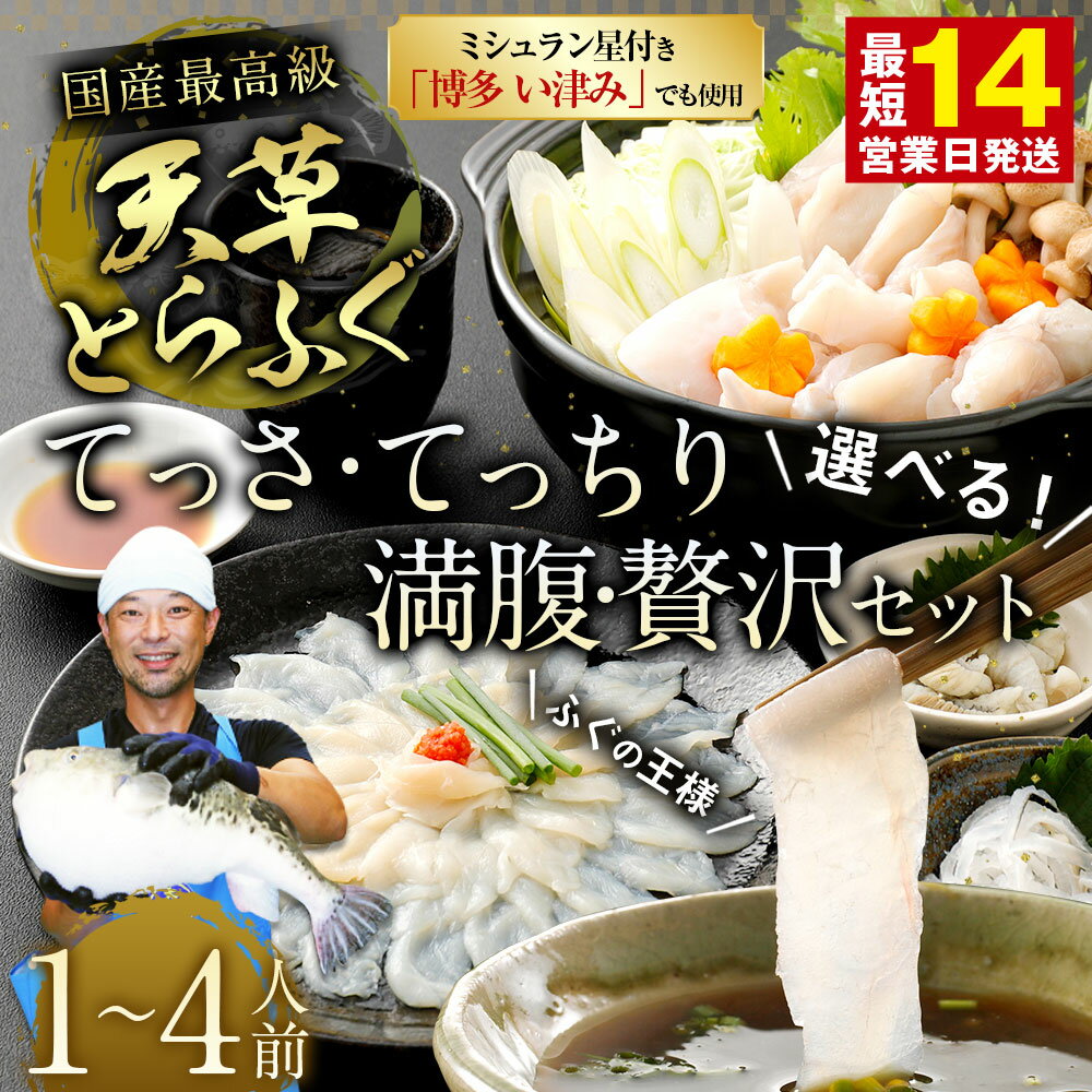 【ふるさと納税】【ミシュラン星付きのプロが愛用】【数量限定】ふぐの王様 国産 天草とらふぐ てっさ・てっちり満腹・贅沢セット 選べる内容量 1〜4人前 17000円 ～ 32000円 1万7000円 ～ 3万2千円 河豚 フグ ふぐ鍋セット てっちりセット お刺身 ふぐ皮 刺し身 フルコース サムネイル2