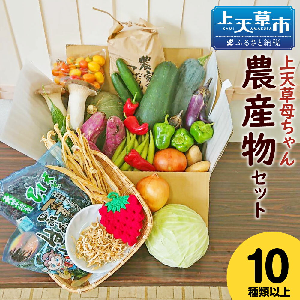 上天草母ちゃん農産物セット 野菜・お米・加工品10種類以上！ 野菜 米 季節 旬 セット 詰め合わせ 九州 熊本県 上天草市 冷蔵 春 送料無料