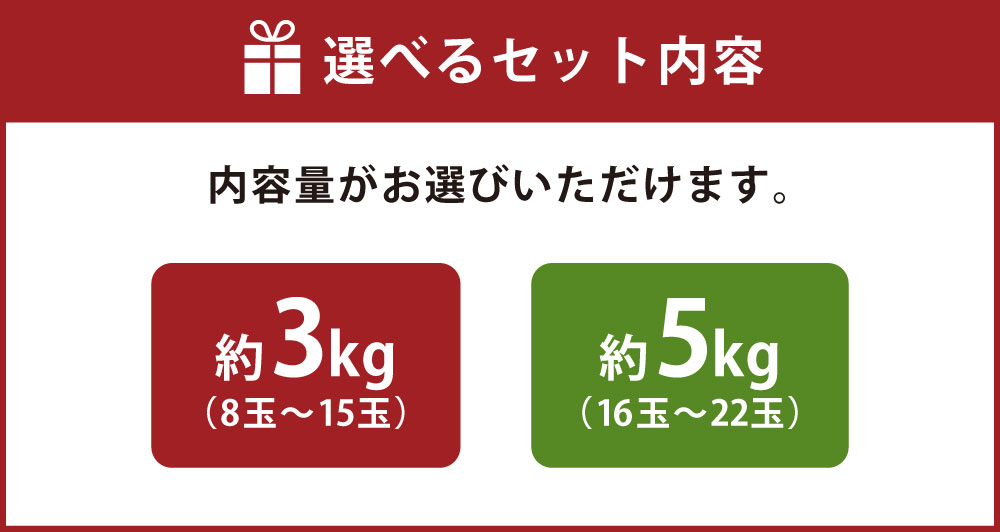 【ふるさと納税】【先行受付】【選べる容量】不知火 約3～5kg 8玉～22玉 しらぬい 柑橘 果物 フルーツ みずの果樹園 熊本県産 送料無料 【2026年3月下旬から5月上旬順次発送予定】 サムネイル3