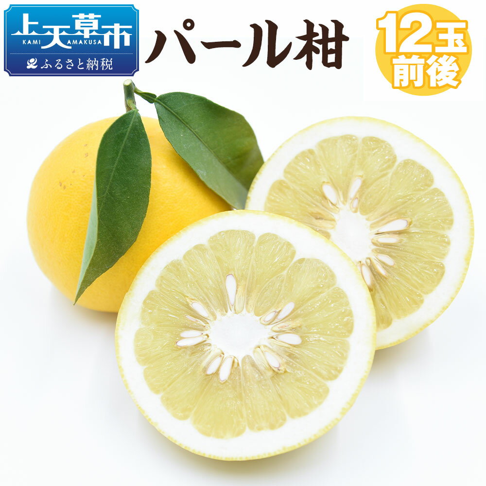 【先行受付】パール柑 約5kg 12玉前後 ぱーるかん 果物 フルーツ みずの果樹園 文旦 熊本県産 上天草市産 送料無料【2026年2月下旬から4月下旬順次発送予定】