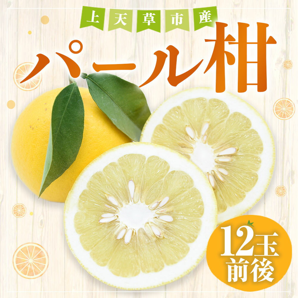 【ふるさと納税】【先行受付】パール柑 約5kg 12玉前後 ぱーるかん 果物 フルーツ みずの果樹園 文旦 熊本県産 上天草市産 送料無料【2026年2月下旬から4月下旬順次発送予定】 サムネイル2