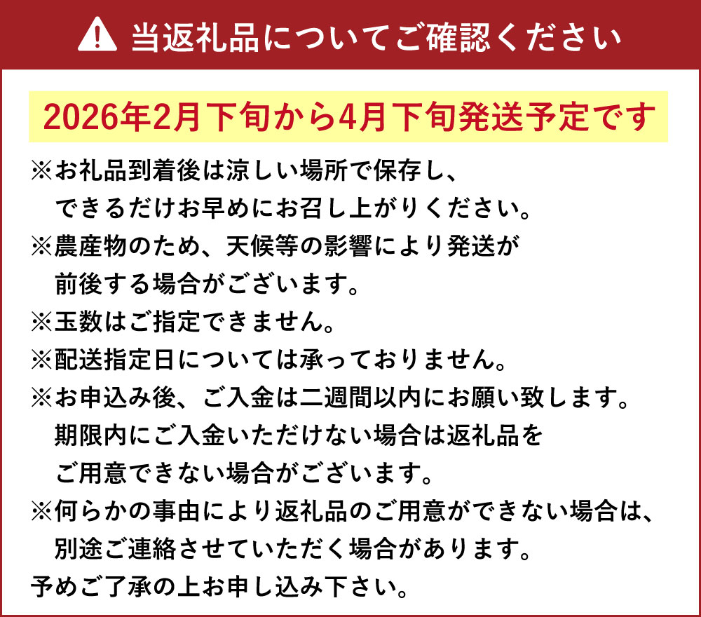 【ふるさと納税】【先行受付】パール柑 約5kg 12玉前後 ぱーるかん 果物 フルーツ みずの果樹園 文旦 熊本県産 上天草市産 送料無料【2026年2月下旬から4月下旬順次発送予定】 サムネイル3