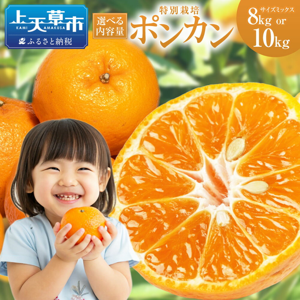 【選べる容量】【先行受付】特別栽培ポンカン 8kg または 10kg サイズミックス ポンカン ぽんかん 国産 上天草市産 熊本県産 果物 フルーツ 蜜柑 柑橘 送料無料 【2026年1月上旬から2月下旬発送開始】