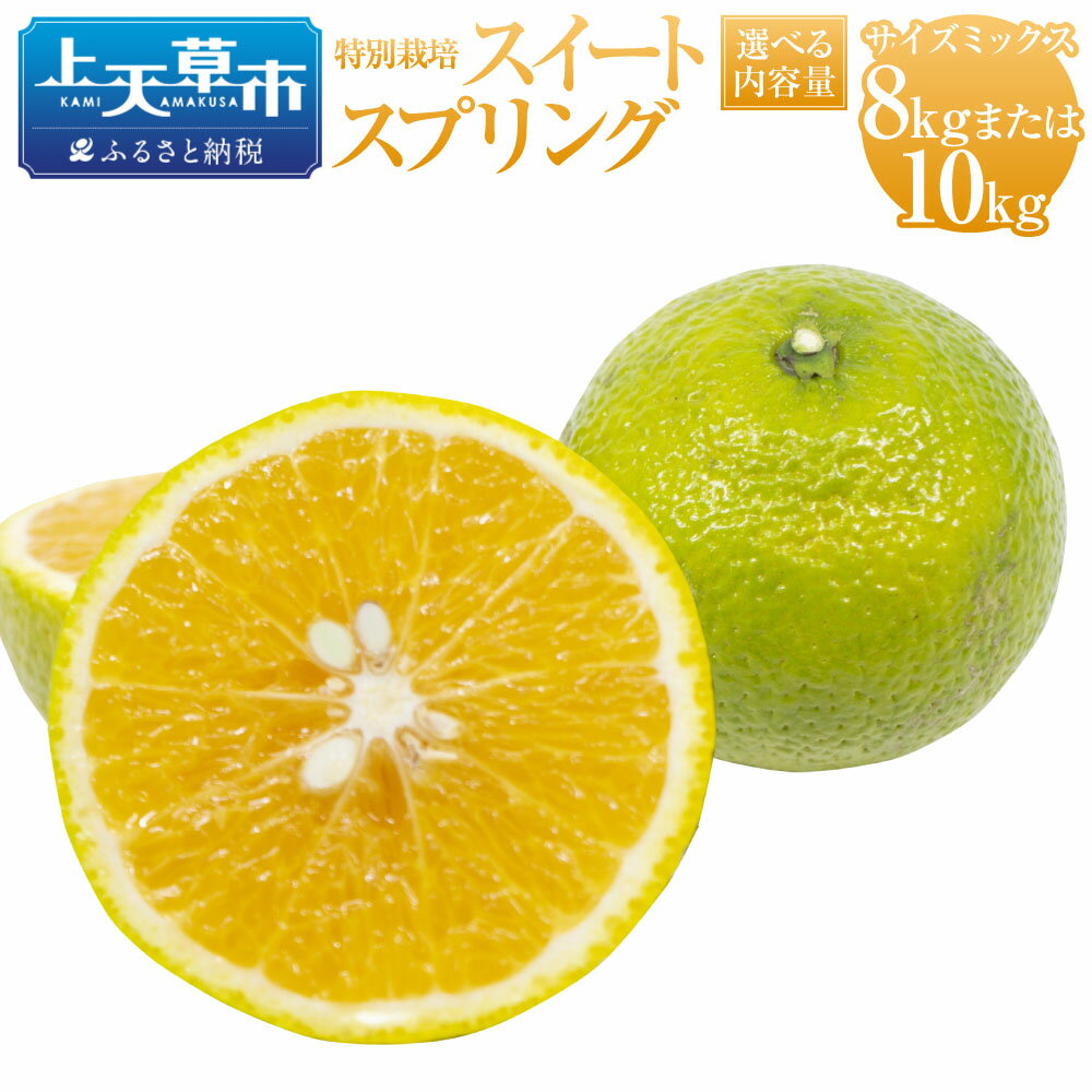 【選べる容量】【先行受付】特別栽培スイートスプリング 8kg または 10kg サイズミックス スイートスプリング 国産 上天草市産 熊本県産 果物 フルーツ 蜜柑 柑橘 送料無料 【2025年12月下旬から2026年2月上旬発送予定】