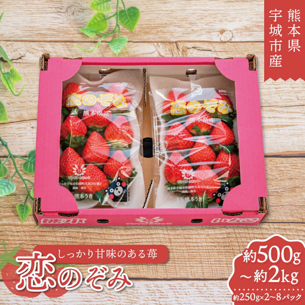 先行予約 いちご 恋のぞみ 【選べる容量】(約 500g 1kg 1.5kg 2kg) 1パックあたり約250g (7〜11個) 【2026年2月上旬～3月上旬発送予定】 苺 冷蔵 小分け 九州 熊本県 宇城市産 JA熊本うき