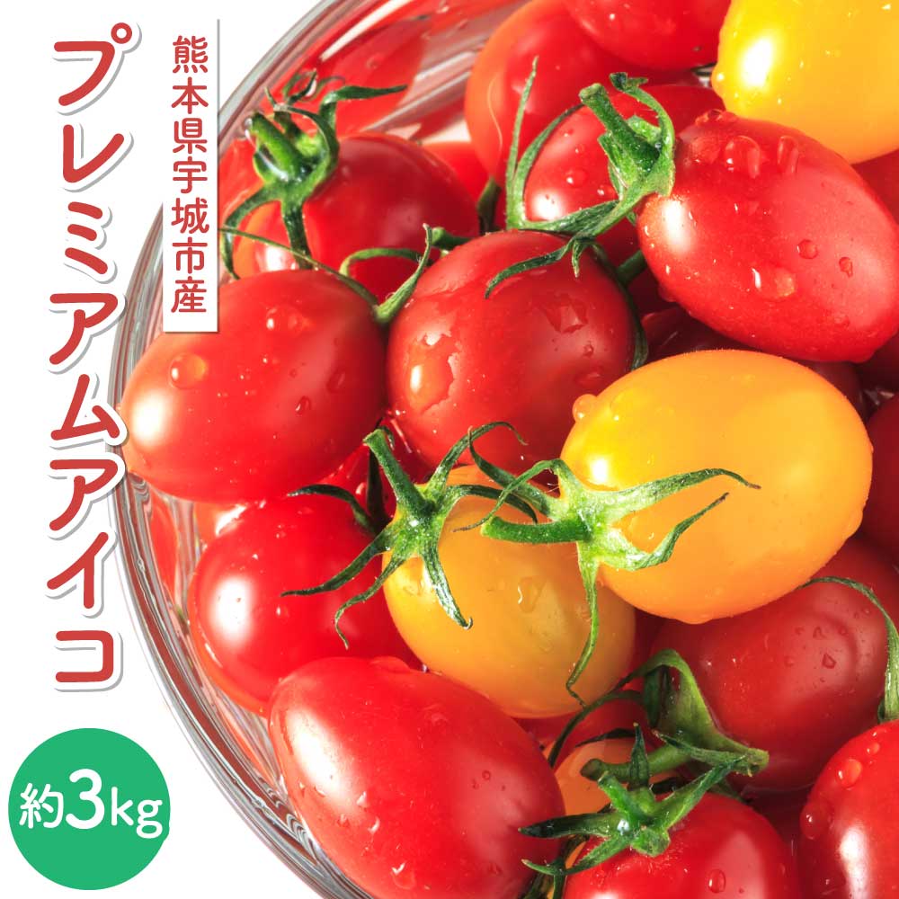 プレミアムアイコ 約3kg 山本農園 糖度8〜10度 高糖度 【2026年1月下旬から順次発送】アイコトマト ミニトマト プチトマト トマト とまと 野菜 宇城市産 熊本県産 九州産 国産 送料無料 株式会社アークブレス