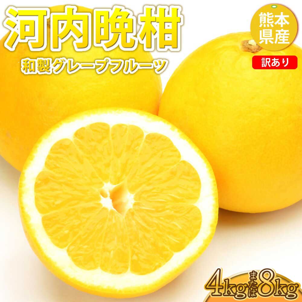 先行予約 訳あり 河内晩柑 ジューシーオレンジ 【選べる容量】約4kg もしくは 約8kg 【2026年3月下旬から2026年7月下旬発送予定】 オレンジ みかん ミカン 蜜柑 柑橘 熊本県 宇城市 送料無料 株式会社Foody’s