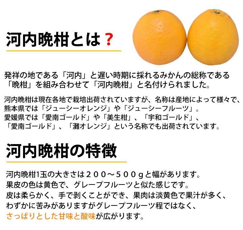 【ふるさと納税】先行予約 訳あり 河内晩柑 ジューシーオレンジ 【選べる容量】約4kg もしくは 約8kg 【2026年3月下旬から2026年7月下旬発送予定】 オレンジ みかん ミカン 蜜柑 柑橘 熊本県 宇城市 送料無料 株式会社Foody’s サムネイル3