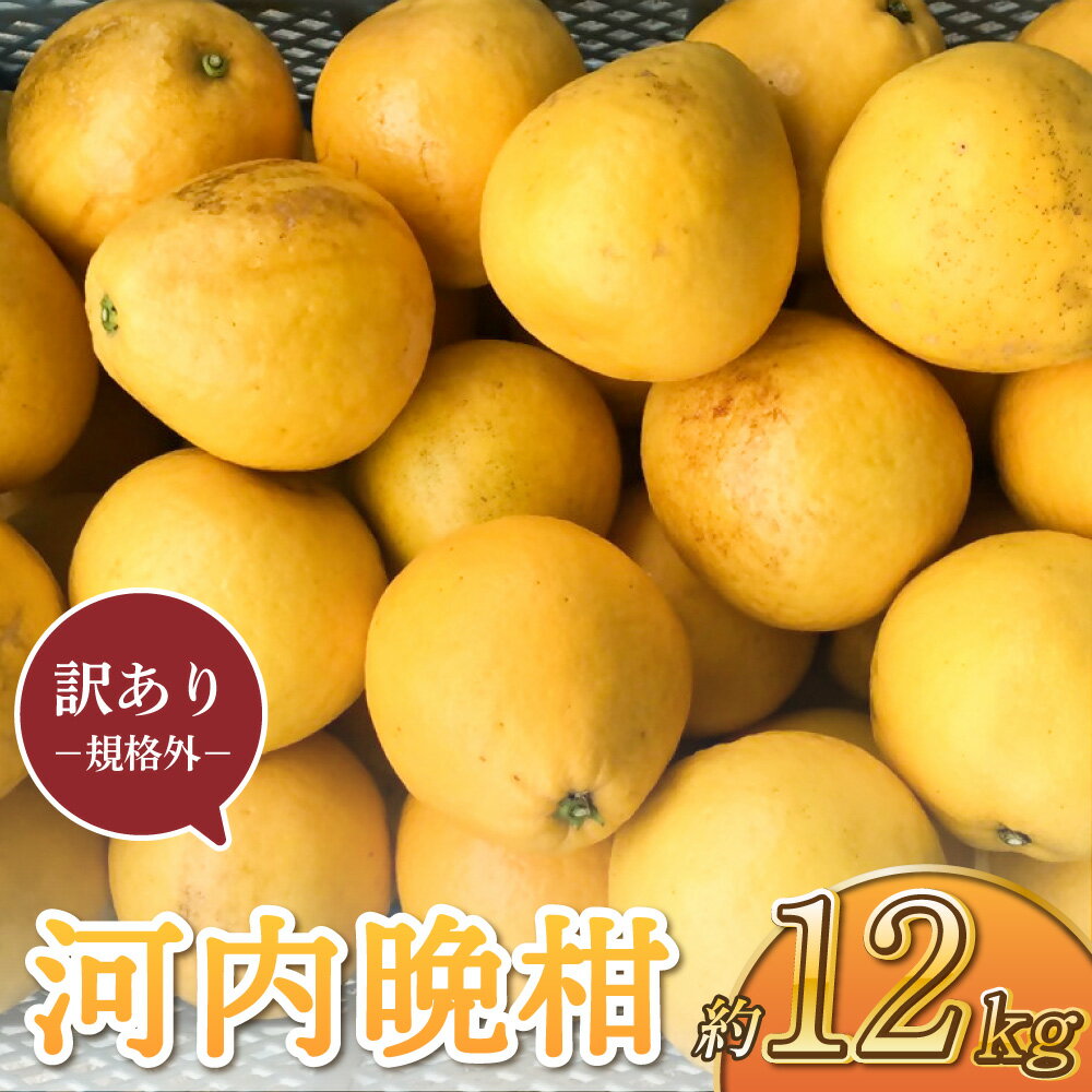 【先行予約】 訳あり 河内晩柑 約12kg 規格外 サイズ不選別 【2026年3月下旬〜6月下旬発送予定】 晩柑 ばんかん 柑橘 九州 熊本県 宇城市 送料無料 株式会社GGYパッケージ