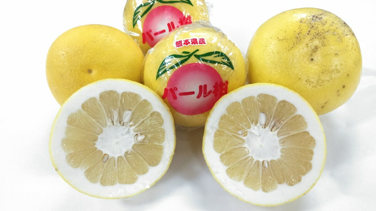 【ふるさと納税】【先行予約】 パール柑 約4kg サイズ不選別 【2026年1月下旬〜2月下旬発送予定】 文旦 大橘 柑橘 九州 熊本県 宇城市 送料無料 株式会社GGYパッケージ サムネイル2