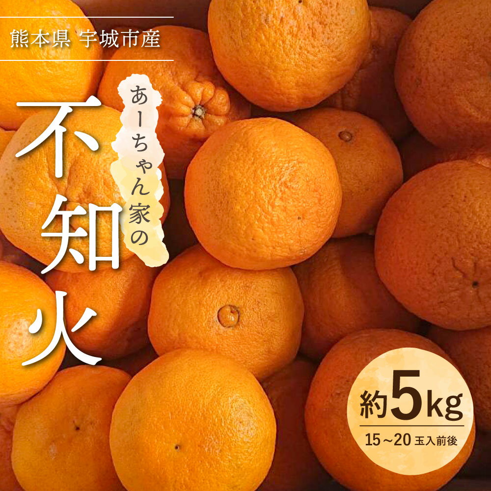 【ふるさと納税】【先行予約】 不知火 あーちゃん家の不知火 約5kg (15〜20玉前後) 【2026年4月上旬〜5月下旬発送予定】 しらぬい 柑橘 熊本県産 九州産 国産 宇城市産 早川果樹園 サムネイル2