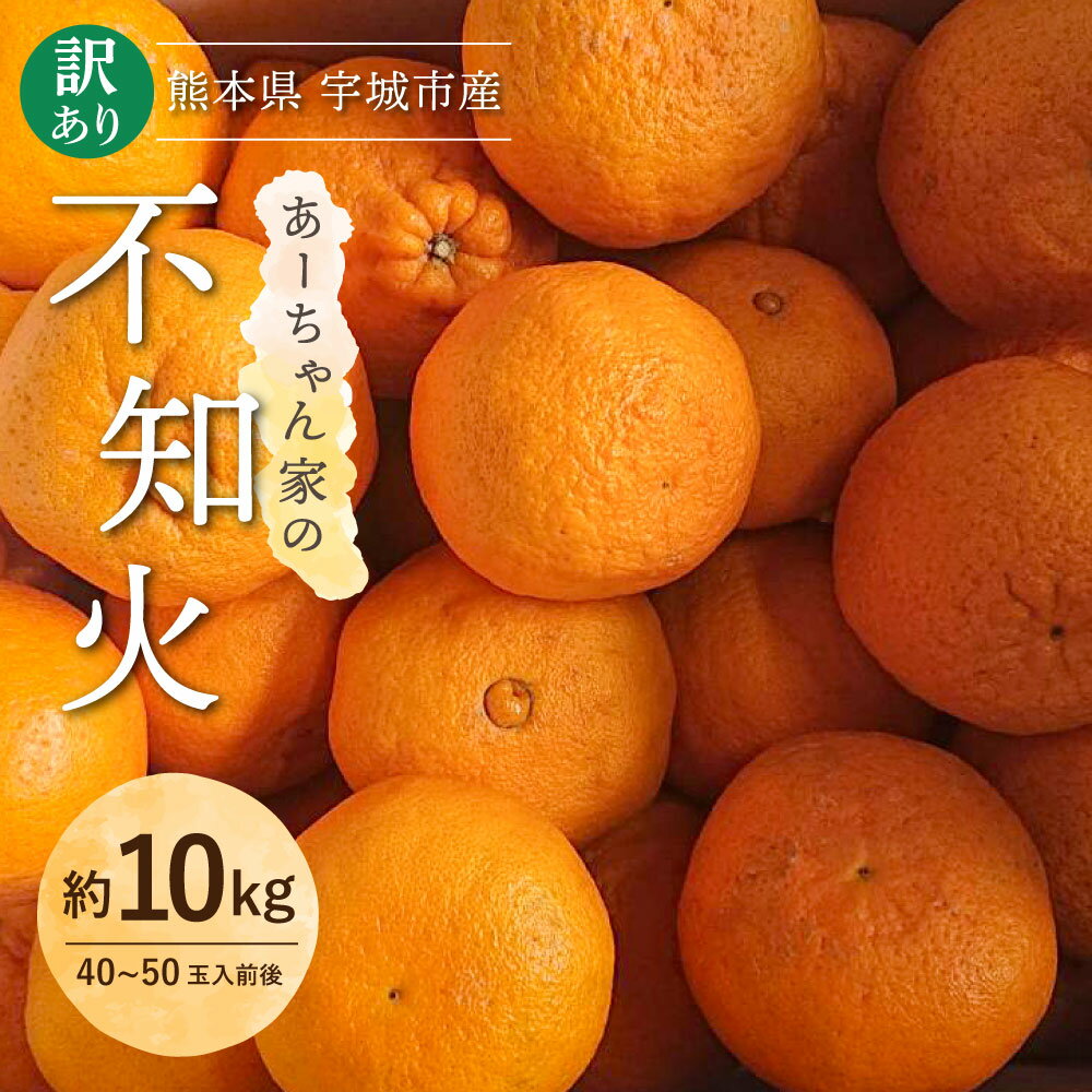 【先行予約】 家庭用 不知火 あーちゃん家の訳あり不知火 約10kg (40〜50玉前後) 【2026年2月下旬から2026年4月上旬発送予定】 わけあり しらぬい 柑橘 熊本県産 九州産 国産 宇城市産 早川果樹園