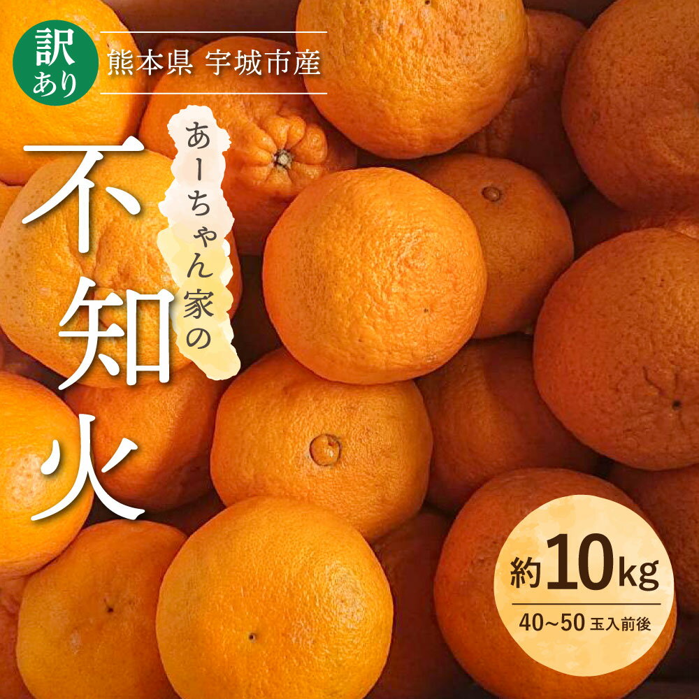 【ふるさと納税】【先行予約】 家庭用 不知火 あーちゃん家の訳あり不知火 約10kg (40〜50玉前後) 【2026年2月下旬から2026年4月上旬発送予定】 わけあり しらぬい 柑橘 熊本県産 九州産 国産 宇城市産 早川果樹園 サムネイル2
