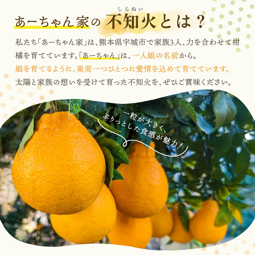 【ふるさと納税】【先行予約】 家庭用 不知火 あーちゃん家の訳あり不知火 約10kg (40〜50玉前後) 【2026年2月下旬から2026年4月上旬発送予定】 わけあり しらぬい 柑橘 熊本県産 九州産 国産 宇城市産 早川果樹園 サムネイル3