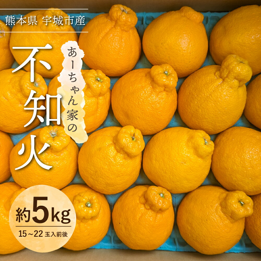 【先行予約】 不知火 あーちゃん家の不知火 約5kg (15〜22玉前後) 【2026年4月上旬〜5月下旬発送予定】 しらぬい 柑橘 熊本県産 九州産 国産 宇城市産 早川果樹園