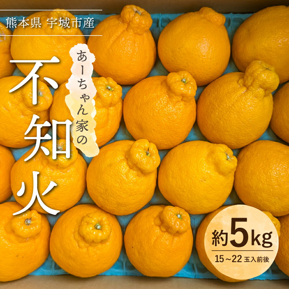 【ふるさと納税】【先行予約】 不知火 あーちゃん家の不知火 約5kg (15〜22玉前後) 【2026年4月上旬〜5月下旬発送予定】 しらぬい 柑橘 熊本県産 九州産 国産 宇城市産 早川果樹園 - 画像2