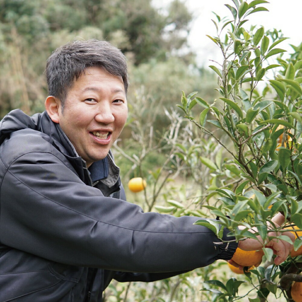 【ふるさと納税】先行予約 ポンカン 約4kg (20玉前後) または 約8kg (40玉前後)【2026年1月上旬から2月上旬発送予定】フルーツ 果物 くだもの 熊本県産 九州産 国産 送料無料 ひでみかん サムネイル3