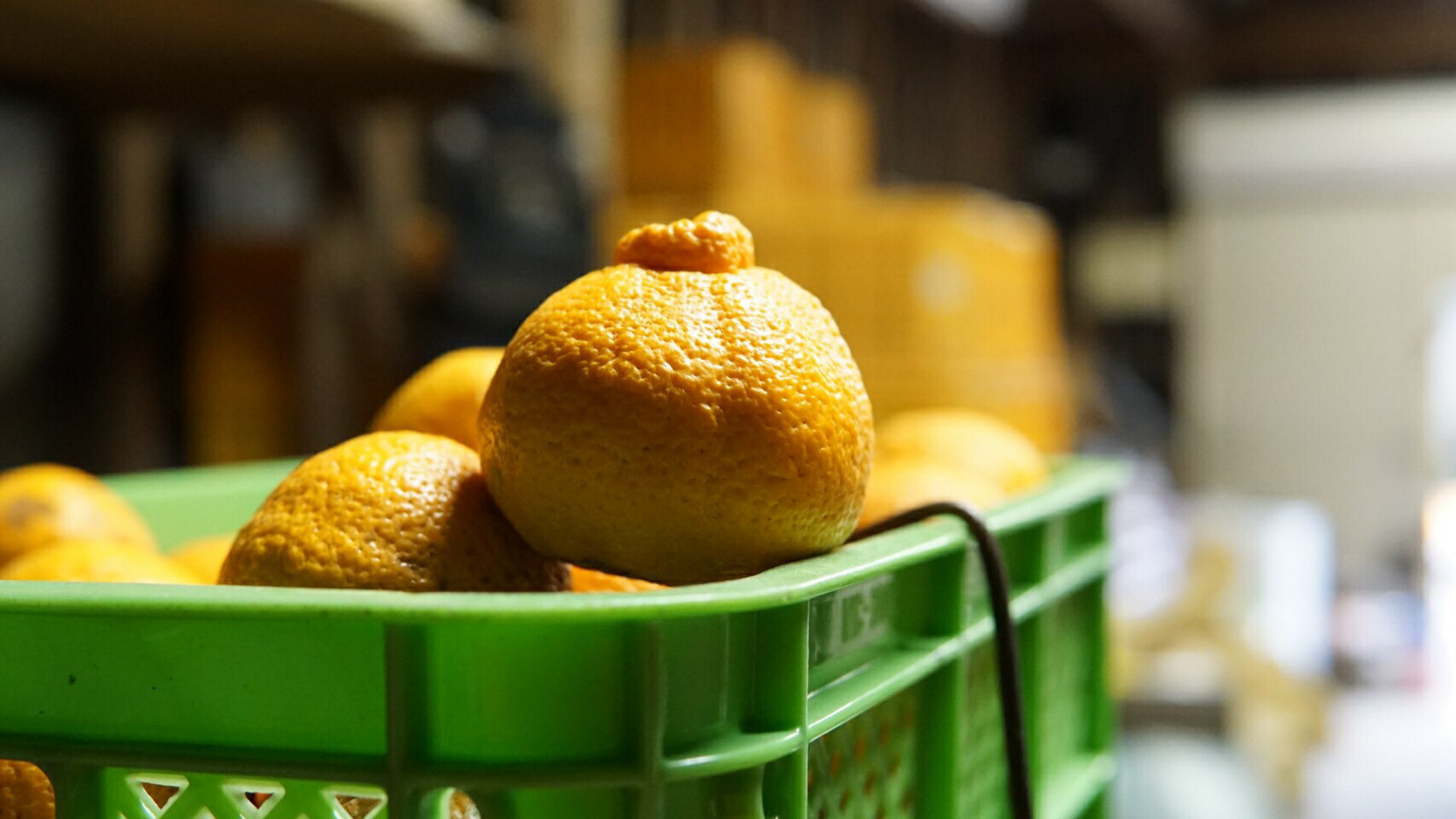 【ふるさと納税】 先行予約 不知火 約8kg (25玉前後) 【2026年2月中旬から3月下旬発送予定】 しらぬい みかん ミカン 蜜柑 フルーツ 果物 くだもの 熊本県産 九州産 国産 送料無料 ひでみかん サムネイル3